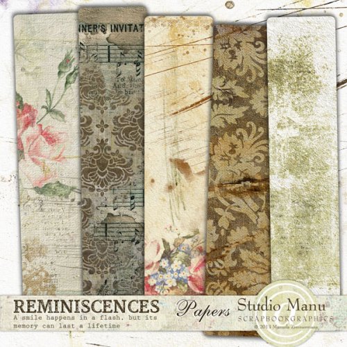 mzimm_reminiscences_pp_prev600 mzimm_reminiscences_pp_prev600