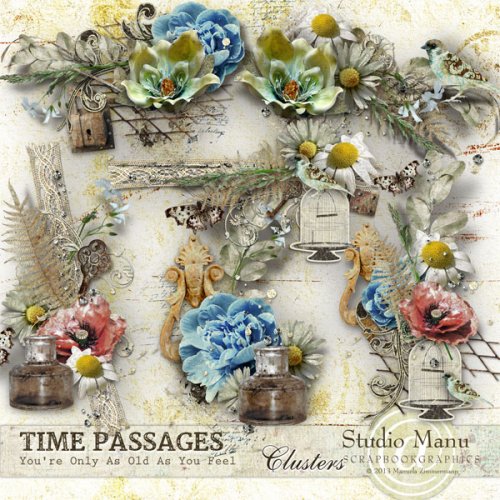 mzimm_timepassages_cl1_prev600 mzimm_timepassages_cl1_prev600