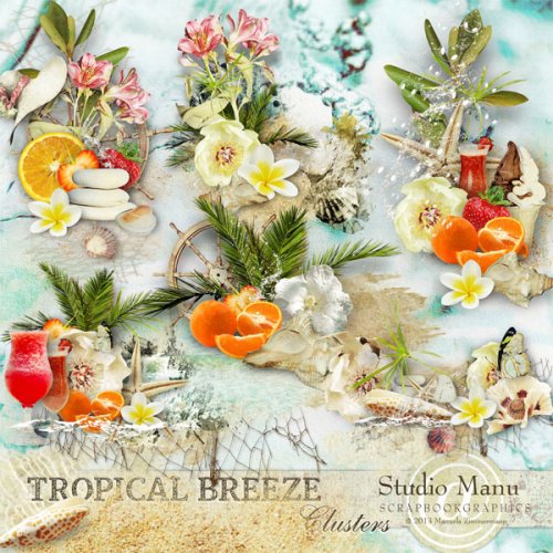 mzimm_tropicalbreeze_cl1_prev_600 mzimm_tropicalbreeze_cl1_prev_600