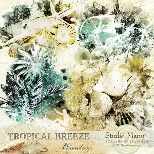 mzimm_tropicalbreeze_ov_prev_600 mzimm_tropicalbreeze_ov_prev_600