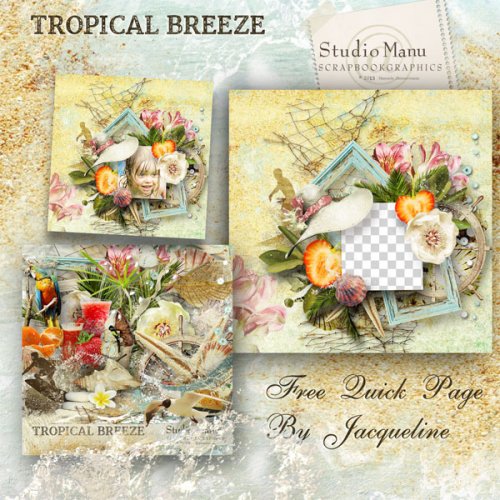 mzimm_jacq_tropicalbreeze_qp_prev_600 mzimm_jacq_tropicalbreeze_qp_prev_600
