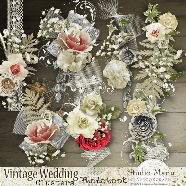 Vintage Wedding Photo Book - bonus clusters