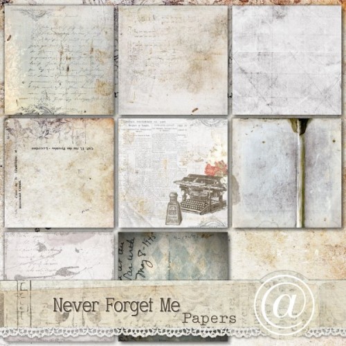 Never Forget Me - background papers