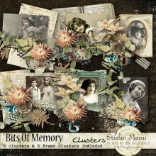 Bits Of Memory - Clusters