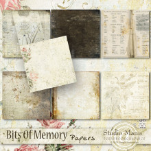 Bits Of Memory - Papers