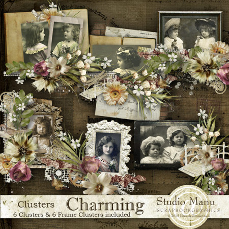 Charming - Clusters