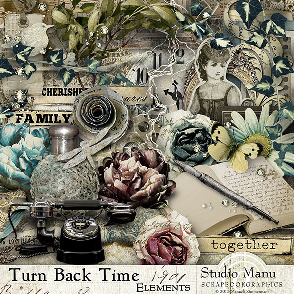 Turn Back The Time - elements