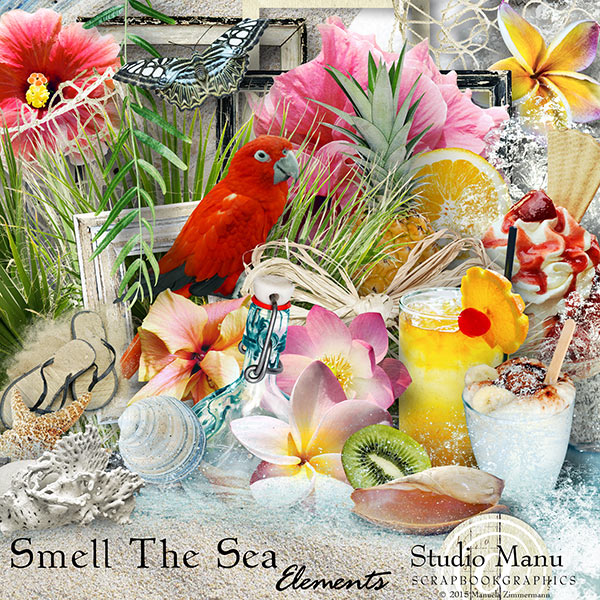 Smell The Sea - Elements