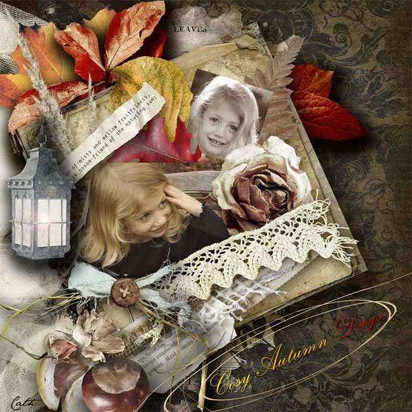 Fall Inspiration Layout by Cath