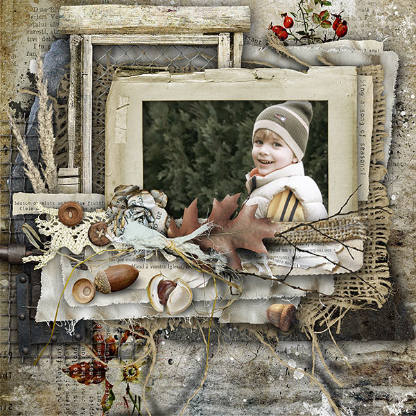 Autumn Inspiration Layout by Manu