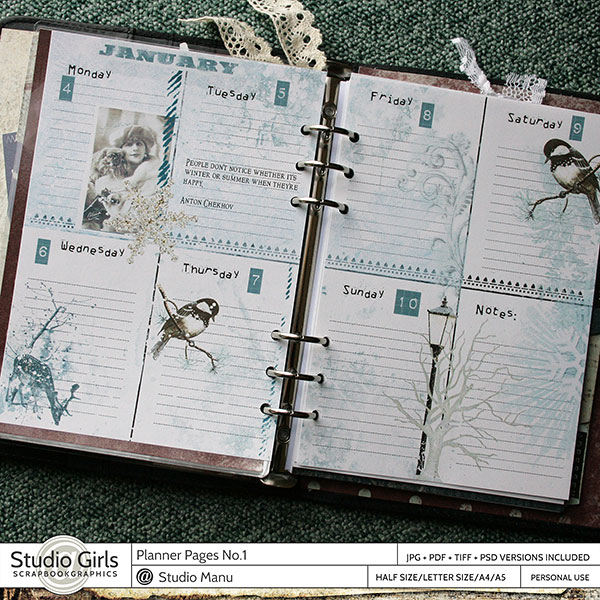 Vintage Creative Planner Inserts