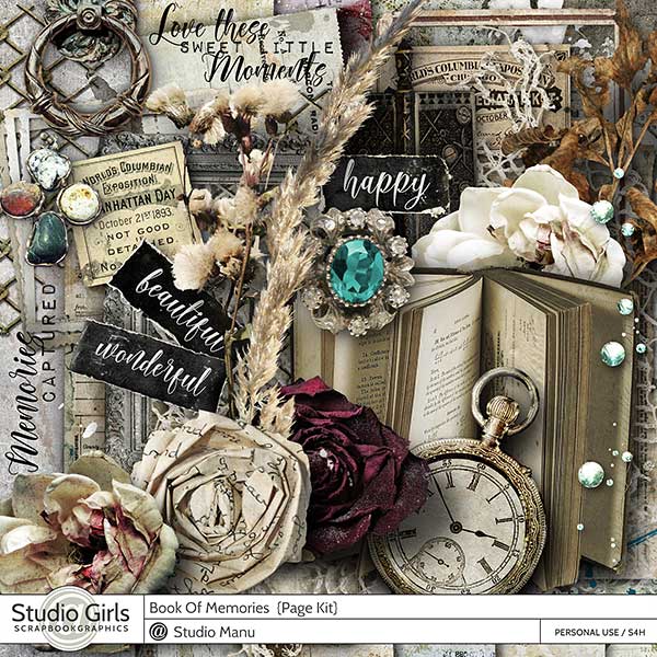 Book Of Memories Page Kit