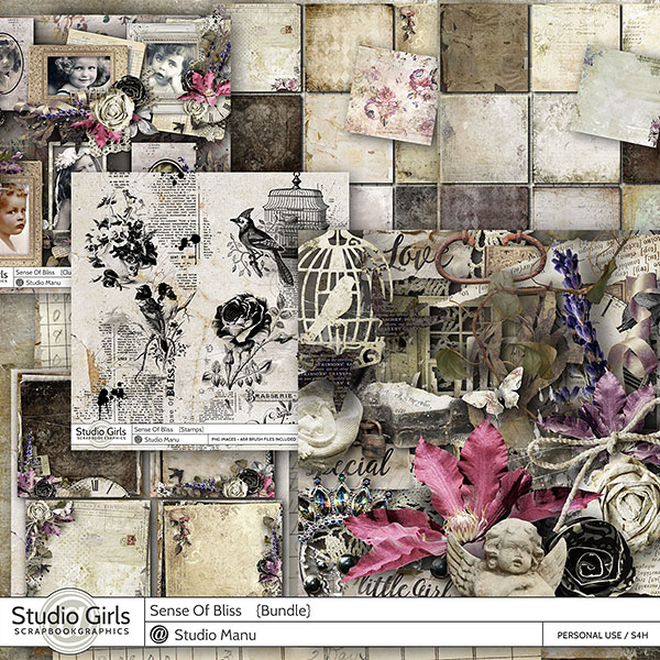 Vintage Scrapbooking Collection Sense Of Bliss