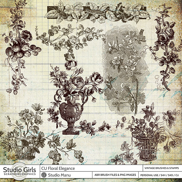 Scrapbooking Commercial Use Brushes Old Text