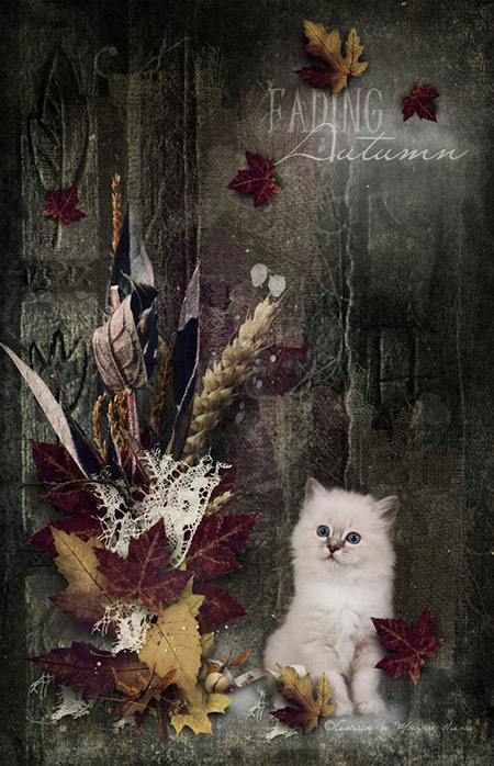 Fading Autumn Sweet little kitten scrapbook card