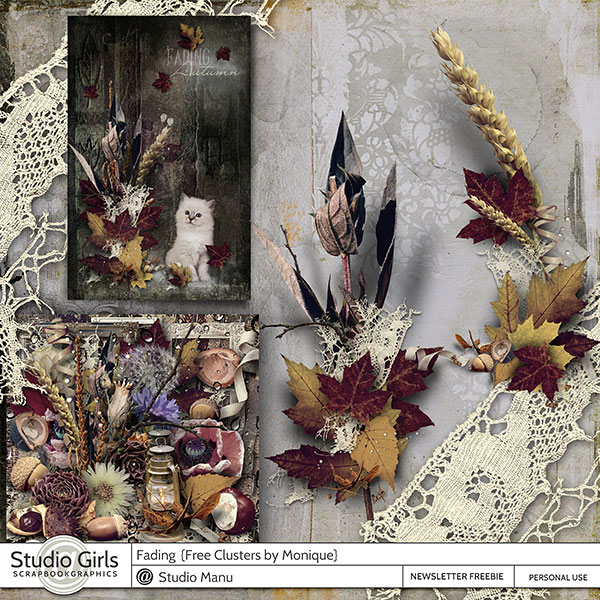 Fading Autumn Cluster Freebie by Monique