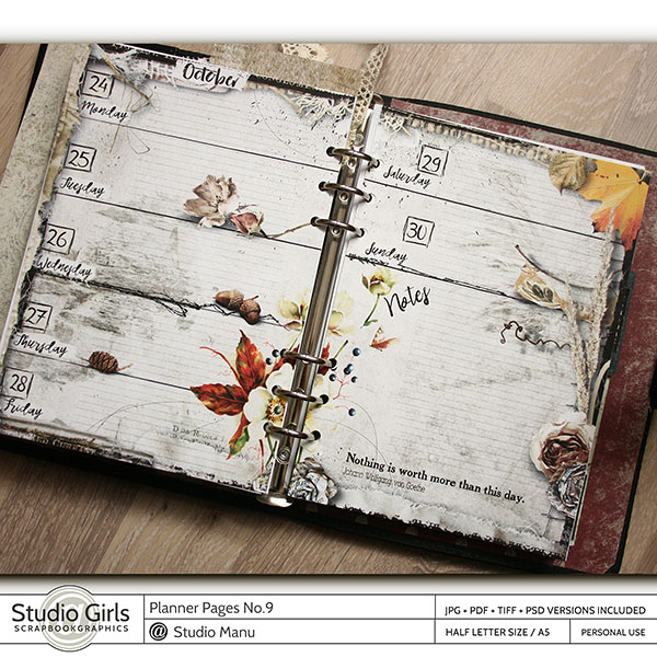 Printable planner pages week 3