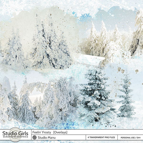 Winter digital scrapbook snow overlays