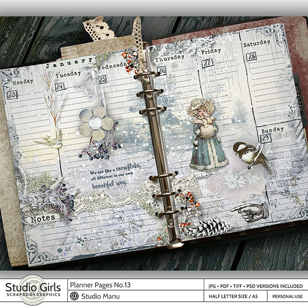 Vintage Planner for sale