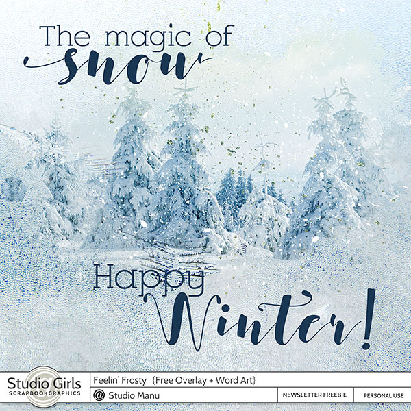 Winter Freebie Overlay and Word Art