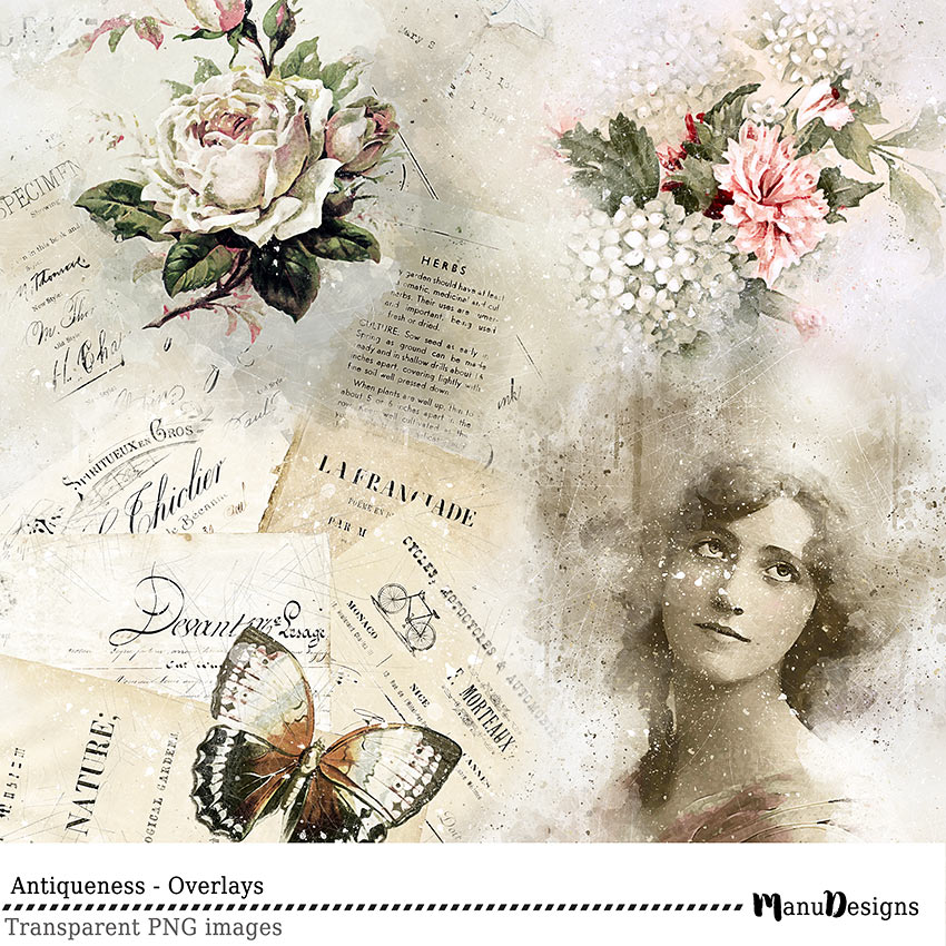 vintage digital transparent overlays