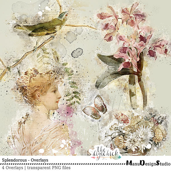 Splendorous Scrapbook Overlays