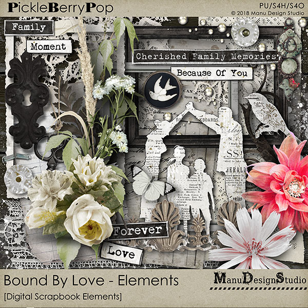 Bound By Love Elements