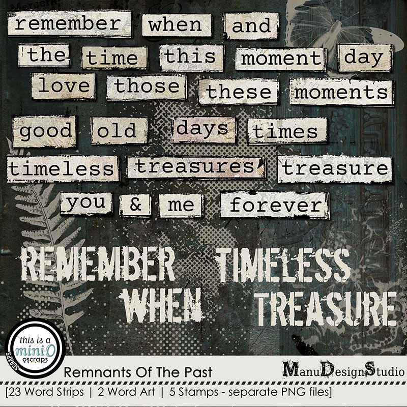 Remnants Of The Past - Vintage Word Strips